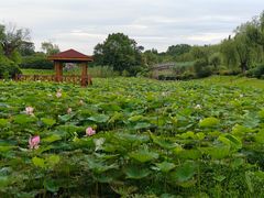 -宜兴龙背山森林公园