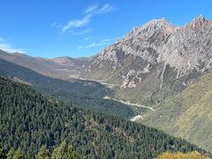 -黄龙山原始森林景区
