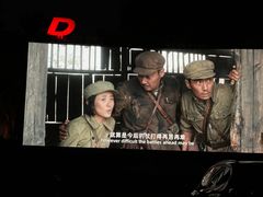 -枫花园汽车电影院(朝阳公园店)