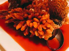 -松鹤楼·非遗·苏帮菜(融科店)