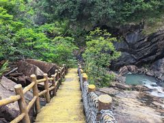 -广州白江湖森林公园