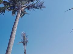 -玫瑰海岸文化旅游度假区