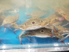 -盒马鲜生(皇庭广场店)