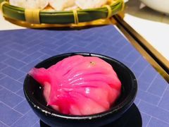 -点都德·毕德寮
