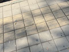 -老三羊汤【北兴隆街店】