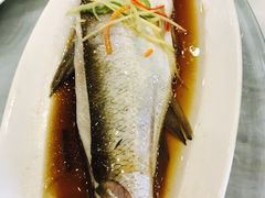 -锦江中华村农家乐饭庄