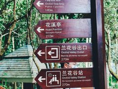 -亚龙湾热带天堂森林公园