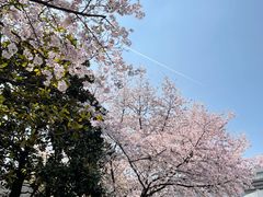 -南浦大桥长途旅游客运站