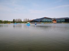 -上海长兴岛郊野公园