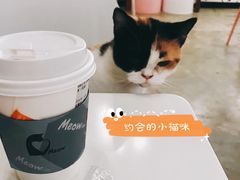 -喵匠猫主题咖啡(凯德和平广场店)