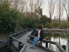 -合肥三国新城遗址公园