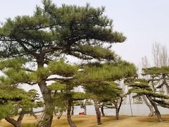 -北京九华山庄会展酒店