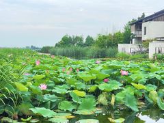 -祝甸砖窑文化馆