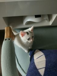 -尚美日式美甲美睫工作室