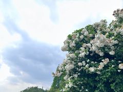 -钱塘江
