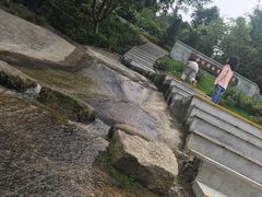 -石排湾郊野公园