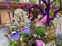 -深圳仙湖植物园