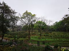 -广州市白云山风景名胜区