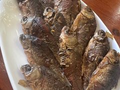 -独流饭店(静海区国土资源分局西)