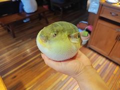 -永安鱼庄·镇江菜(丁卯店)