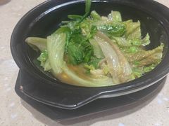 生菜啫啫煲-德粤轩(缤谷广场店)