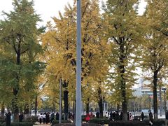 -两江幸福广场