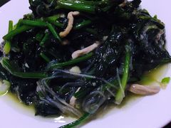 肉炒菠菜粉丝-九龙餐厅(大沽路店)