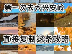 -莫尔道嘎国家森林公园