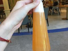哈密瓜汁-美食小镇·观赏珍稀鸟类·长隆熊猫酒店