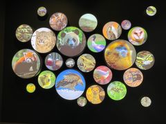 -四川大学博物馆