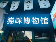 -猫咪博物馆(顶澳仔猫街店)