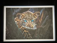 -罗红摄影艺术馆