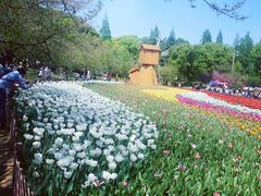 -苏州上方山国家森林公园