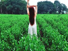 -帐篷客·溪龙茶谷度假酒店