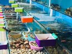 水产区-港畔赶海蒸汽海鲜烧烤自助(仙螺岛店)