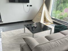 -龙坞茶村