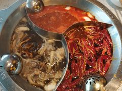 -DaLongYi Hotpot - 大龙燚火锅 - 地道四川老火锅