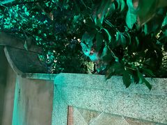 -虹御轩·传承江浙菜(虹桥店)