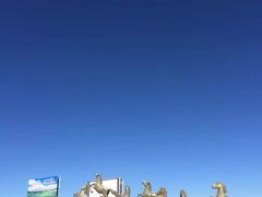 -黄河九曲第一湾