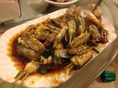 蛏子-沈家门海鲜夜排档(东港店)
