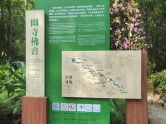 -莫里热带雨林景区