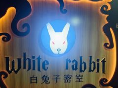 -白兔子密室(长寿路店)