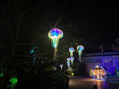 -成都欢乐谷