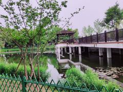 -金银湖国家城市湿地公园