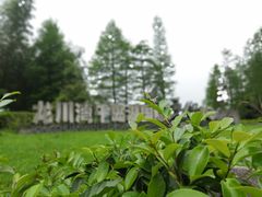-龙川湾千岛湖国际垂钓中心