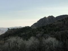 -阳台山自然风景区