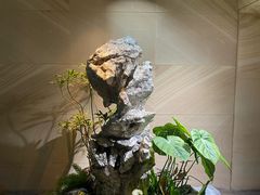 -棕榈岛海鲜自助餐厅(虹桥迎宾馆店)