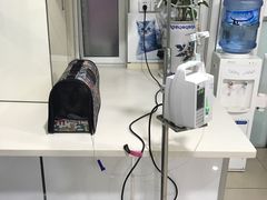 -宠颐生中康贝怡动物医院
