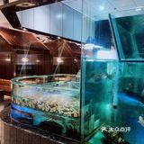 金网红米肠、鼓汁蒸凤爪、鲜虾腐皮卷、XO酱炒萝卜糕