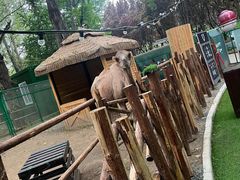 -北京欢乐谷